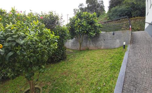 Taman di luar Casa do Manuel