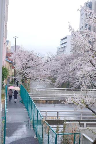Waseda House