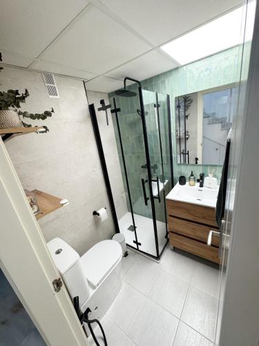 a bathroom with a toilet and a shower and a sink at Duplex Penthouse with Seaview. in Benalmádena