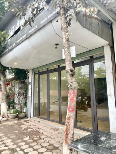 a tree in front of a building with glass doors at Lee's House in Dong Anh
