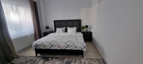 a bedroom with a large bed and two night stands at Studio 1 in Tîrgu Neamţ
