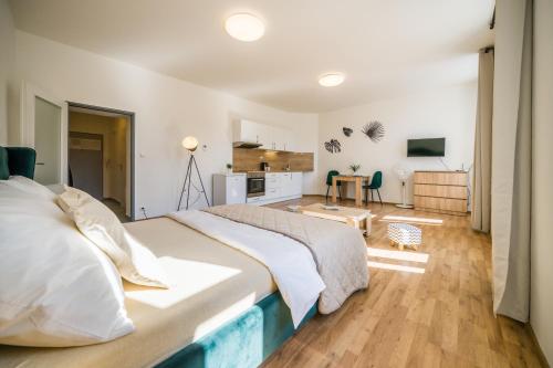 APARTIA Vlhká 26, Brno-center