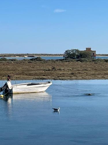 Φυσικό τοπίο κοντά σε αυτό το διαμέρισμα