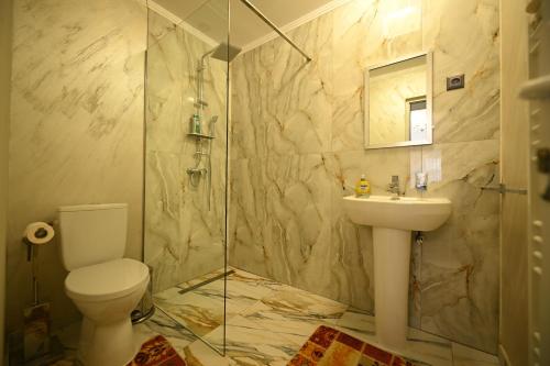a bathroom with a shower and a toilet and a sink at Pensiunea Mama Lia in Haţeg