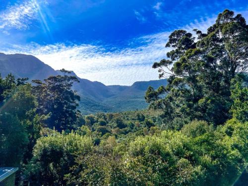 a view of a forest with mountains in the background at The Cabins at Phantom Acres in Hout Bay