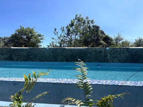 Piscina en o cerca de Habitacion 3 en Dani's Guest House