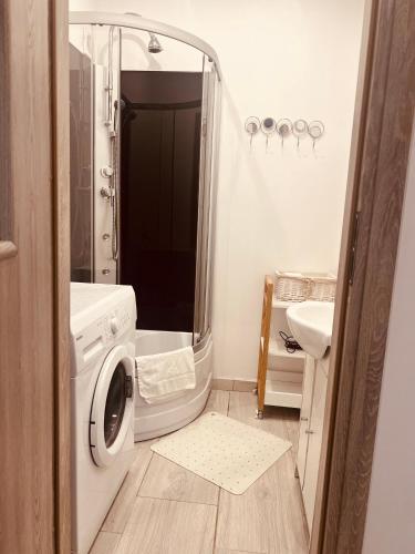 a bathroom with a washing machine and a sink at Apartament Stara Piekarnia in Tychy