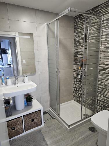 a bathroom with a shower and a sink at Apartamento Rocio in Baiona