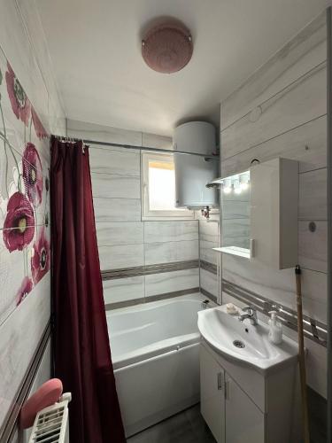 a bathroom with a tub and a sink and a bath tub at Apartament de închiriat in Borsec