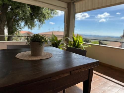 una mesa de madera con una maceta en el balcón en Ferienwohnung Dolce Vita Toskana - Massa Marittima mit Parkplatz, Bikeferien meernah, en Massa Marittima