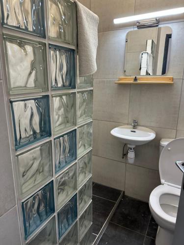 une salle de bains avec toilettes et lavabo dans l'établissement Le petit sport, à La Salle Les Alpes