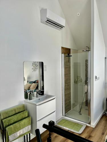 une salle de bain avec une douche, un lavabo et un miroir dans l'établissement Superbe loft - Le Petit Galibot, à Vimy
