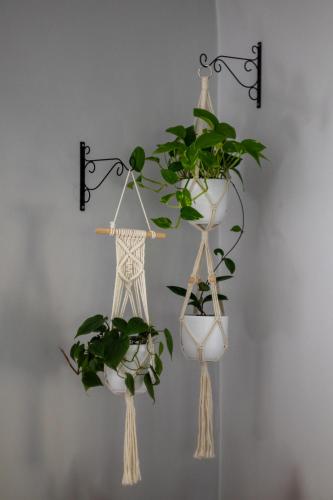 Φωτογραφία από το άλμπουμ του Rustic Reins σε Phantom Acres