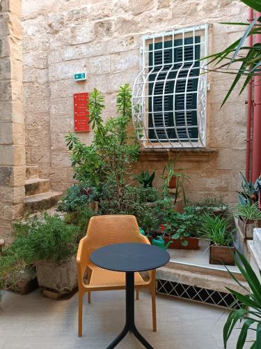 Zahrada ubytování Palazzino Nina Boutique Hotel