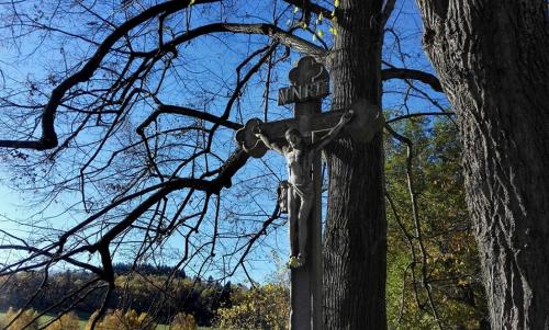 a street sign on a tree next to a tree at Penzion Krakovice in Kaplice