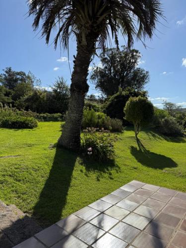 Κήπος έξω από το Puntas de Leon, Aigua, Uruguay