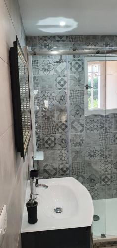une salle de bain avec un lavabo et une douche dans l'établissement Cyclades Appartement dans Résidence Piscine Tennis Boulodrome, au Lavandou