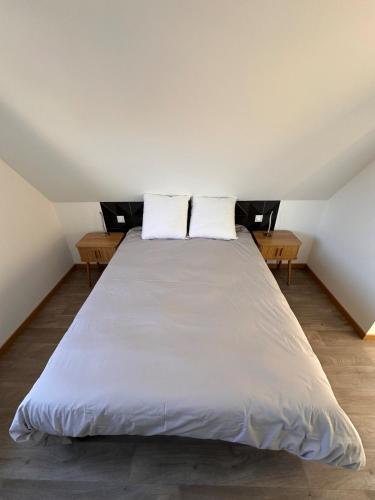 un grand lit avec deux oreillers dessus dans l'établissement Le 9 de fer, à Colmar