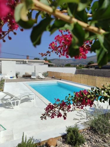 Πισίνα στο ή κοντά στο Boutique pool house Blagaj