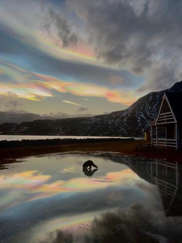 a penguin is sitting on top of a body of water at Mjoeyri Travel Holiday Homes in Eskifjörður