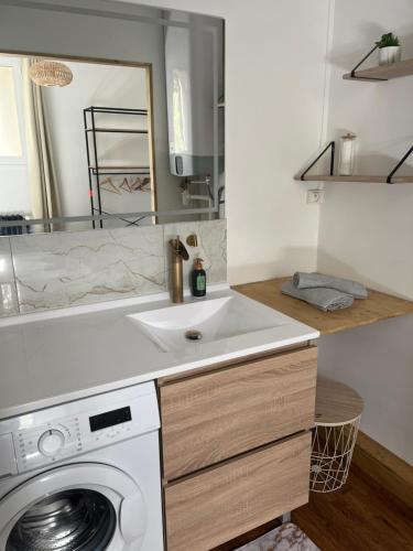 a bathroom with a sink and a washing machine at L'escapade verte in Tours