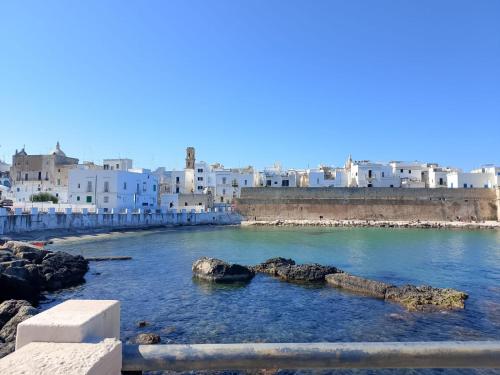a view of a river with white buildings at La casa di mamma in Monopoli