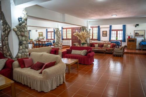 a large living room with couches and chairs at Pineas in Kalabaka