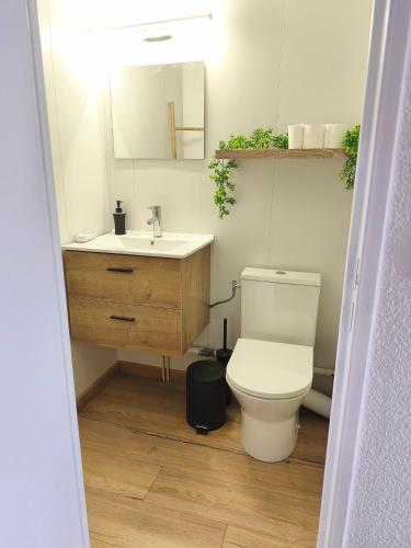 une salle de bain avec toilettes, lavabo et miroir dans l'établissement Chez Léna, au Grau-du-Roi