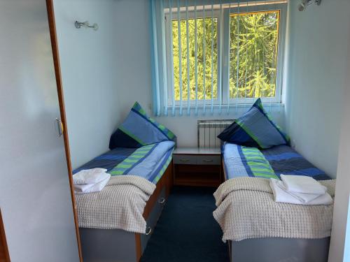 a small room with two beds and a window at Vila Serar in Moieciu de Jos