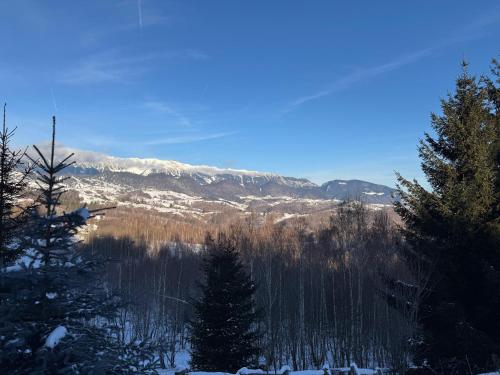 a view of a snowy mountain with trees and mountains at Vila Serar in Moieciu de Jos