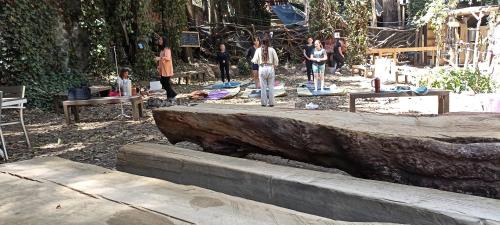 a group of people standing around a large tree stump at Mindfulness Glamping, Retiro de Yoga, Todo Incluido in Mexico City