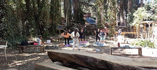 a group of people doing yoga on a tree stump at Mindfulness Glamping, Retiro de Yoga, Todo Incluido in Mexico City