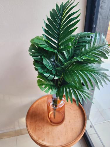 a green plant in a glass vase on a table at Eastern Road Executive Suites in Harare