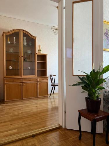 a living room with a wooden cabinet and a potted plant at Am Kalvarienberg in Retz