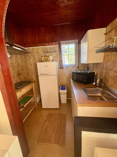 a small kitchen with a sink and a refrigerator at La casetta di Tato in Monterosso al Mare