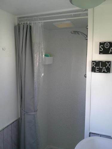 a bathroom with a shower curtain and a toilet at Happy Days South Chapel st leonards Sahara 4 Berth in Chapel Saint Leonards