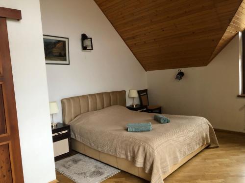 a bedroom with a bed with two night stands and two lamps at Solar in Skhidnitsa