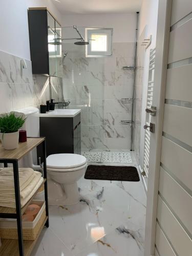 a white bathroom with a toilet and a shower at Gaby's Apartment in Ocna-Mureşului