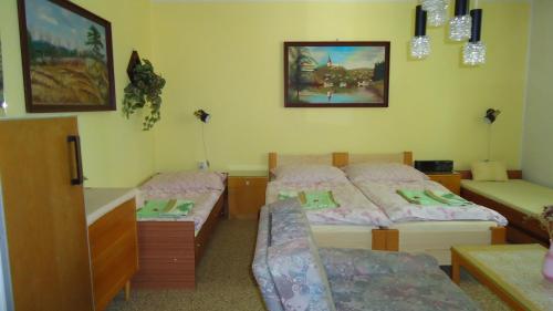 ein Zimmer mit 3 Betten und einem Sofa darin in der Unterkunft Pension Dana in Vrbno pod Pradědem
