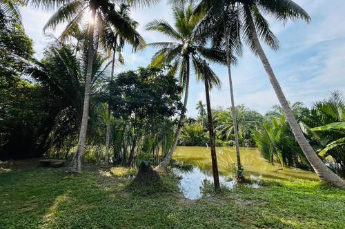 Landskap semula jadi dekat dengan hotel