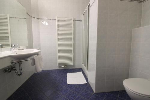a bathroom with a toilet and a sink and a shower at Pension Joseph Haydn in Podersdorf am See