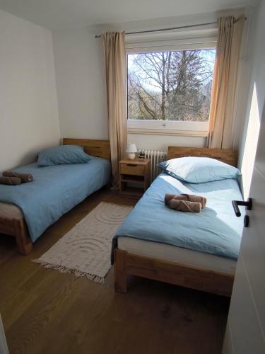 two beds in a room with a window at Schleizauber Ferienwohnung mit Wasserblick und einer großzügigen Terrasse in Schleswig