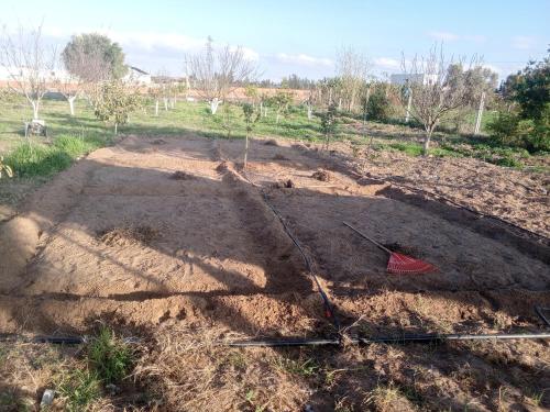 Φωτογραφία από το άλμπουμ του My small farm 20 minutes from Kénitra Behind Kénitra Atlantic Free Zone σε Kenitra