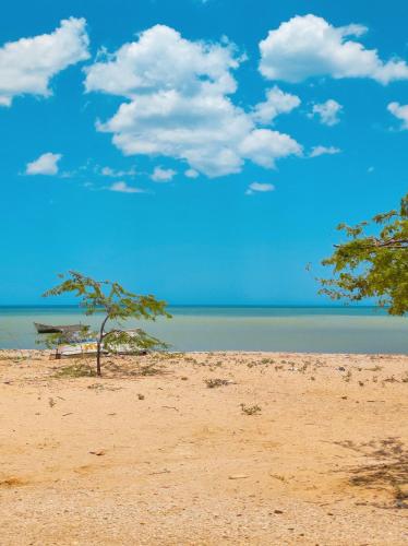 a beach with trees and the ocean in the background at Hotel Sukuua Kai Cabo de la vela in Cabo de la Vela