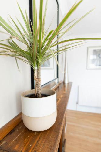 a potted plant sitting on a wooden table at The Loft Apartment in Shoreham-by-Sea