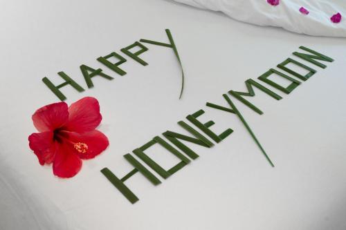 a red flower sitting next to a happy new year sign at Oasis Dhigurah in Dhigurah