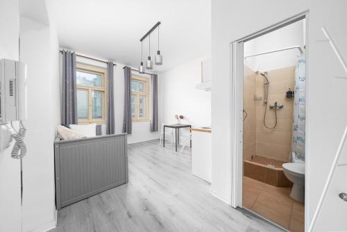 een badkamer met douche, toilet en wastafel bij Cozy studio near city in Praag