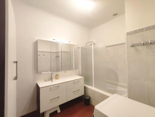 une salle de bain blanche avec un lavabo et une douche dans l'établissement Appartement exceptionnel Bastide St Louis, à Carcassonne