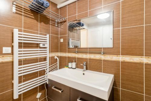 une salle de bain avec un lavabo et un miroir dans l'établissement 2 pièces spacieux hyper-centre, à Toulouse