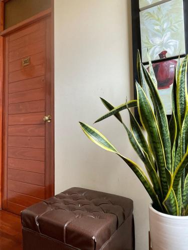 Fotografie z fotogalerie ubytování HOSPEDAJE LAS FLORES ICA v destinaci Ica